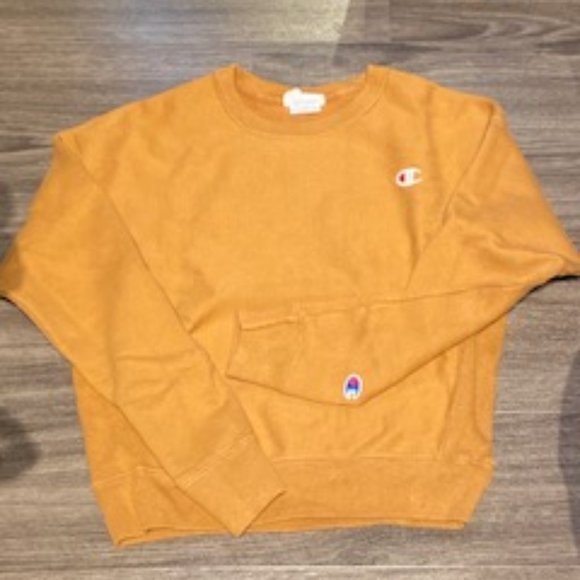 X-Small, Brown Champion Crew-Neck Hoodie. - Picture 1 of 2